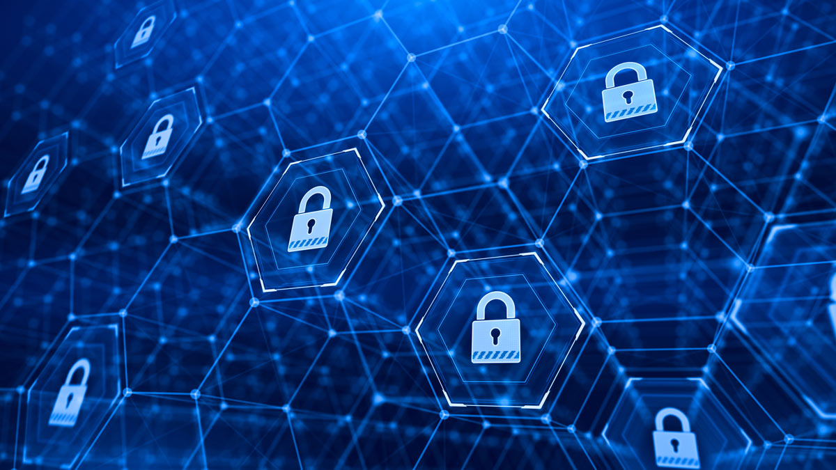 enhanced-plus-security-systems-rimstorm data security graphic